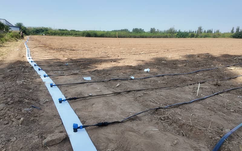 hose protection sleeve