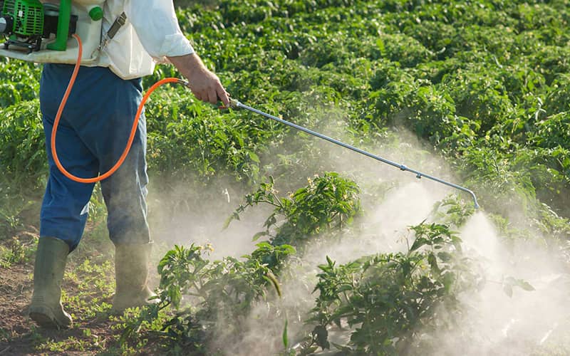 agricultural pesticide spraying hose pesticide control hose rubber water hose